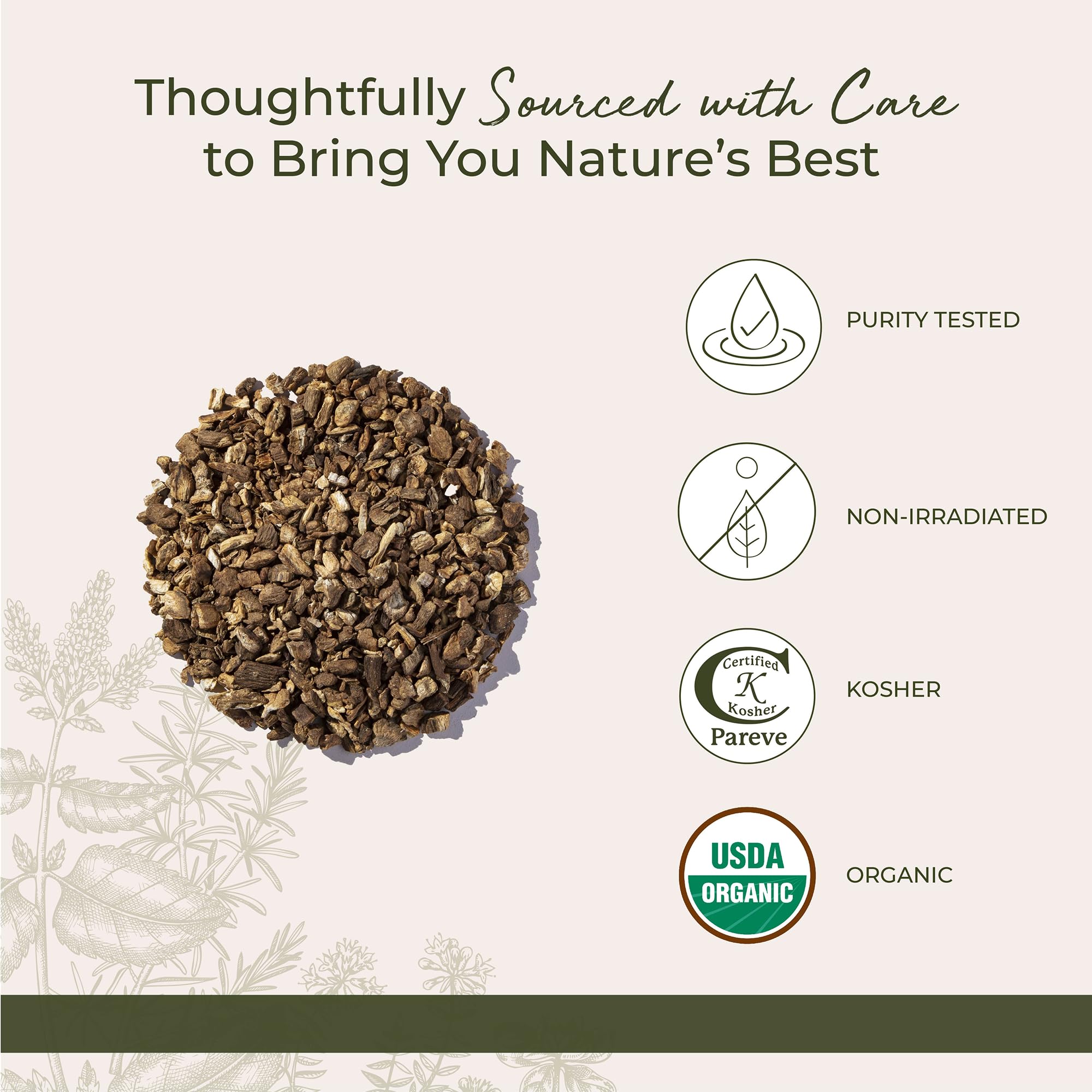 Starwest Botanicals raíz de bardana orgánica para caldos y guisos sabrosos