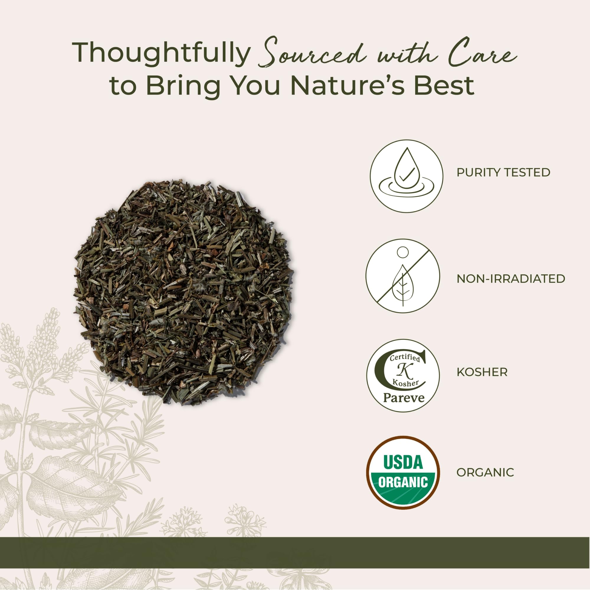 Starwest Botanicals taza de infusión con hierba galio para té suave