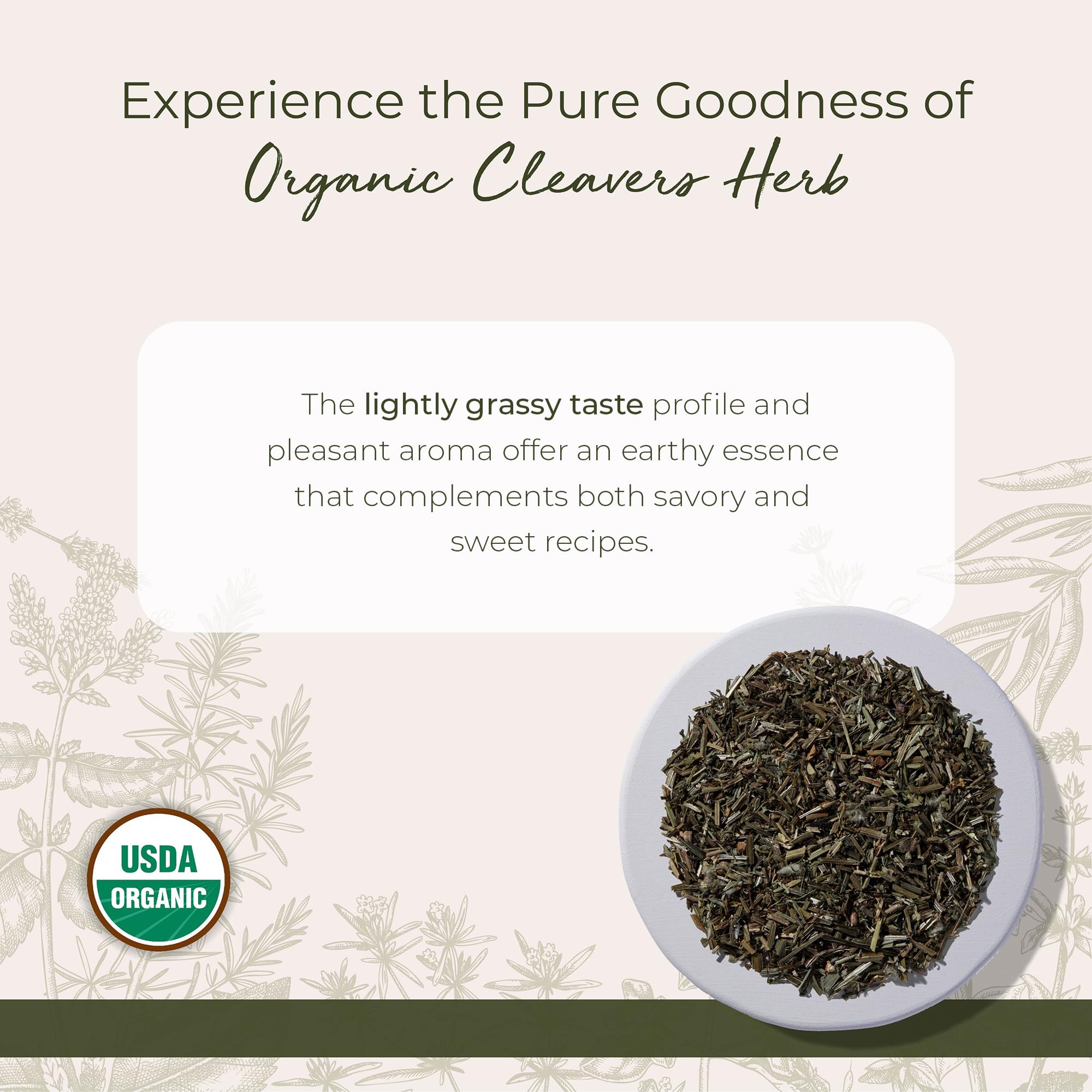 Infusión de Cleavers de Starwest, té ligero con aroma verde y refrescante.