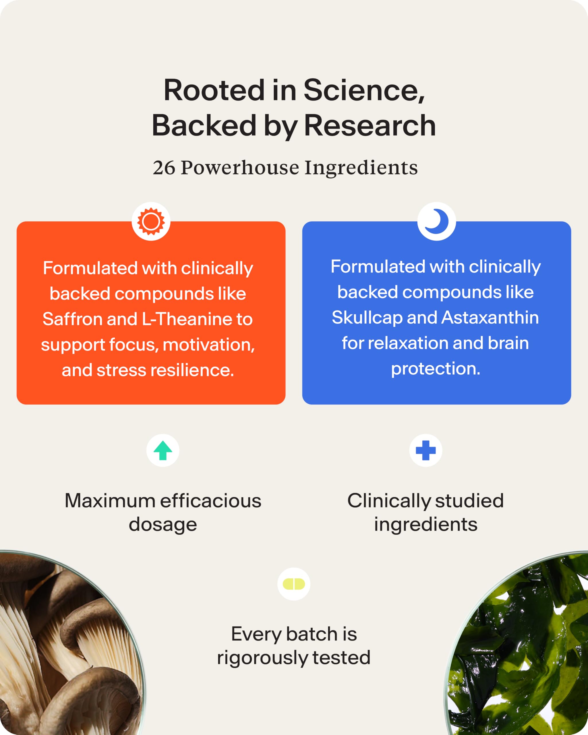 STASIS Día y Noche, cápsulas diurnas para energía sostenida.
