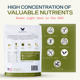 Stateside Growers polvo hierba trigo orgánico en batido para energía rápida.