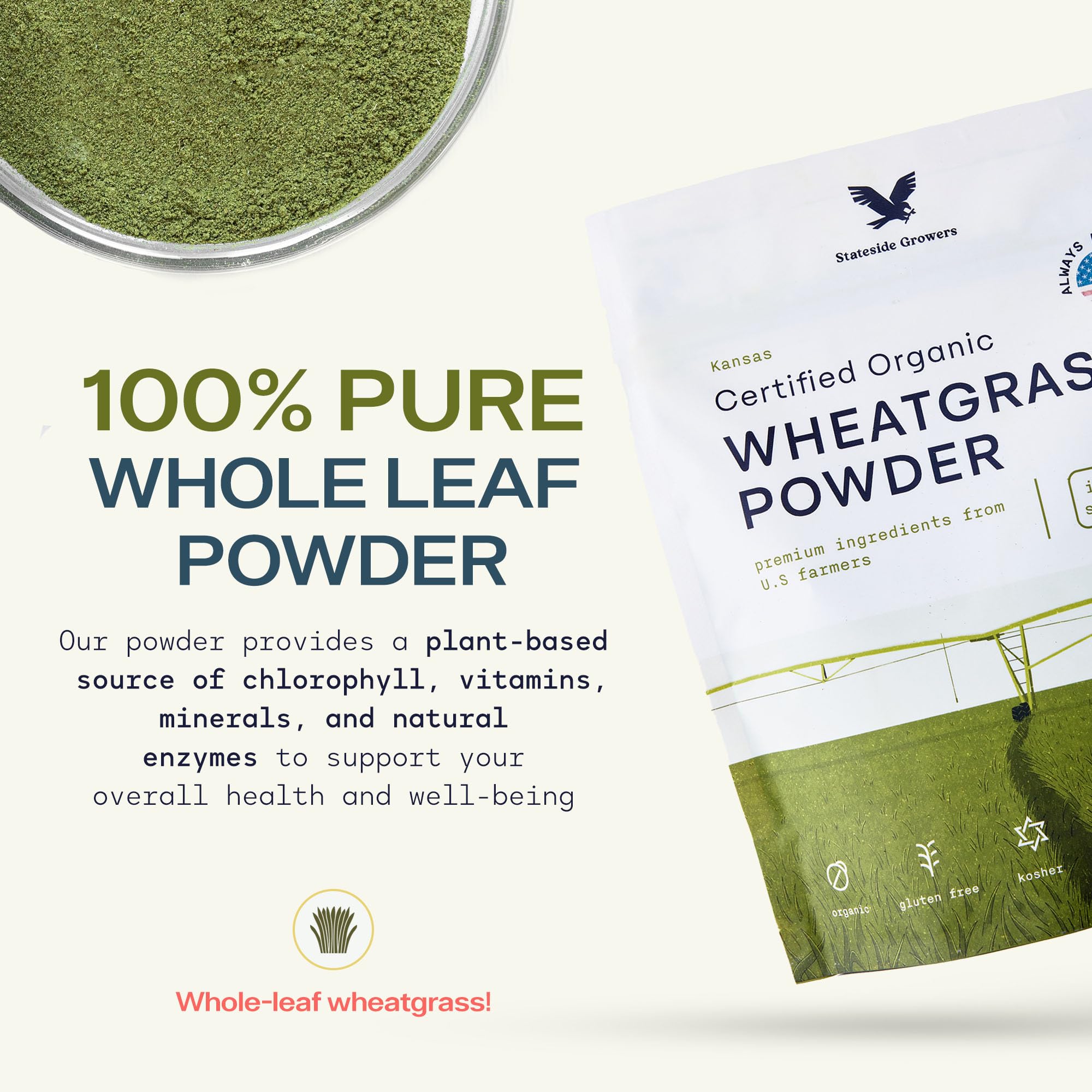 Stateside Growers polvo hierba trigo orgánico en taza para batidos nutritivos.