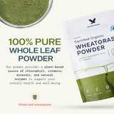 Stateside Growers polvo hierba trigo orgánico en taza para batidos nutritivos.