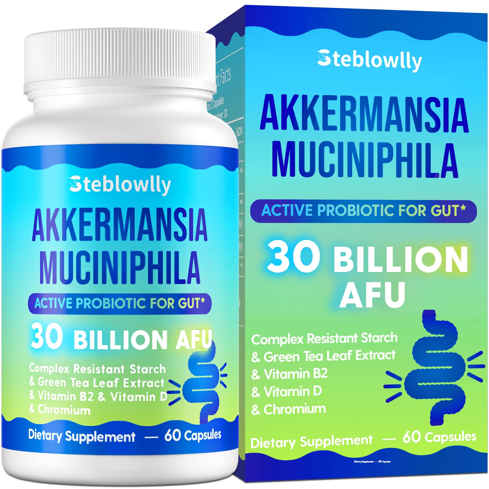Steblowlly Akkermansia Probiotico en botella, apoyo a la salud intestinal diaria.