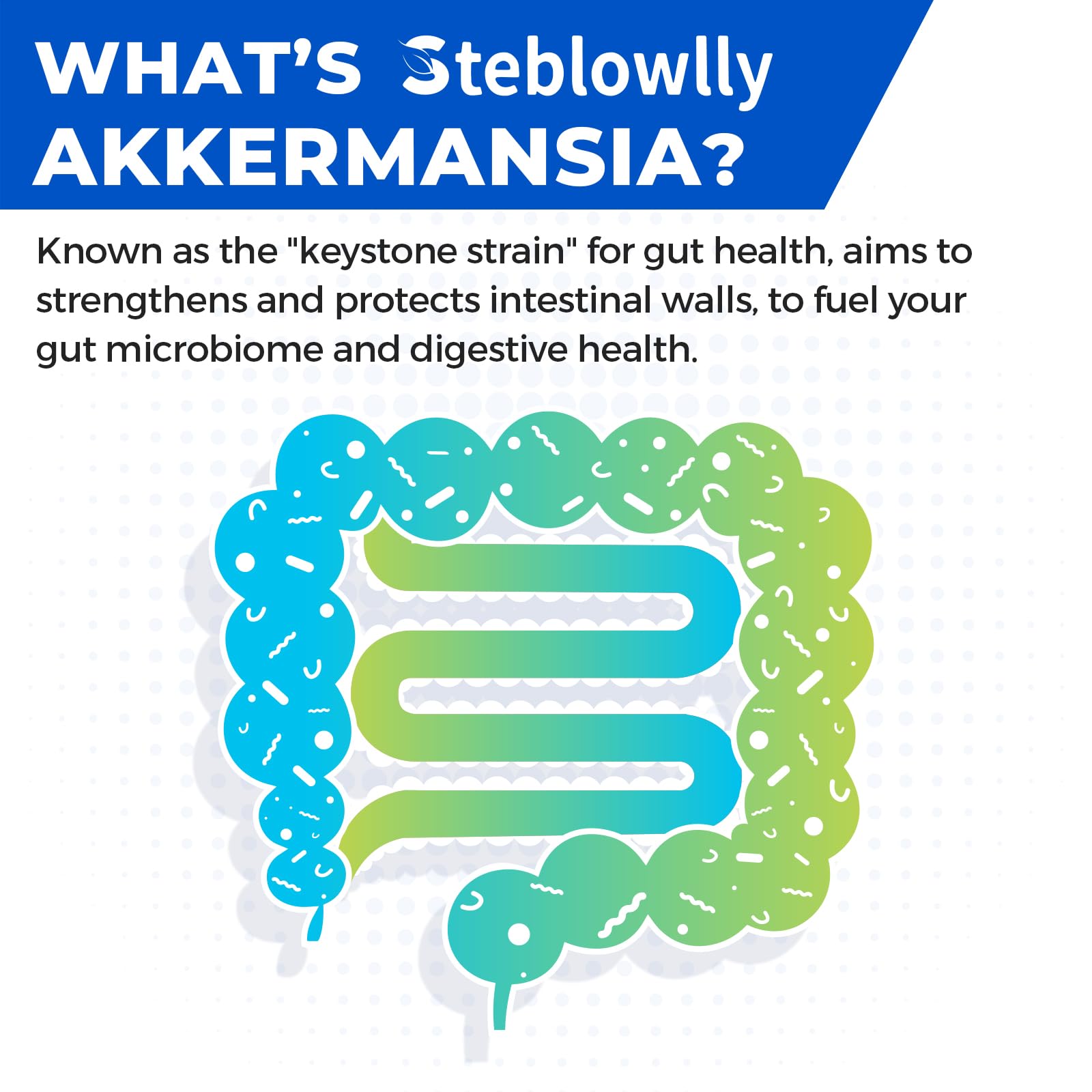 Sin gluten y vegano, Steblowlly Akkermansia Probiotico para estilos de vida.