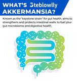 Sin gluten y vegano, Steblowlly Akkermansia Probiotico para estilos de vida.