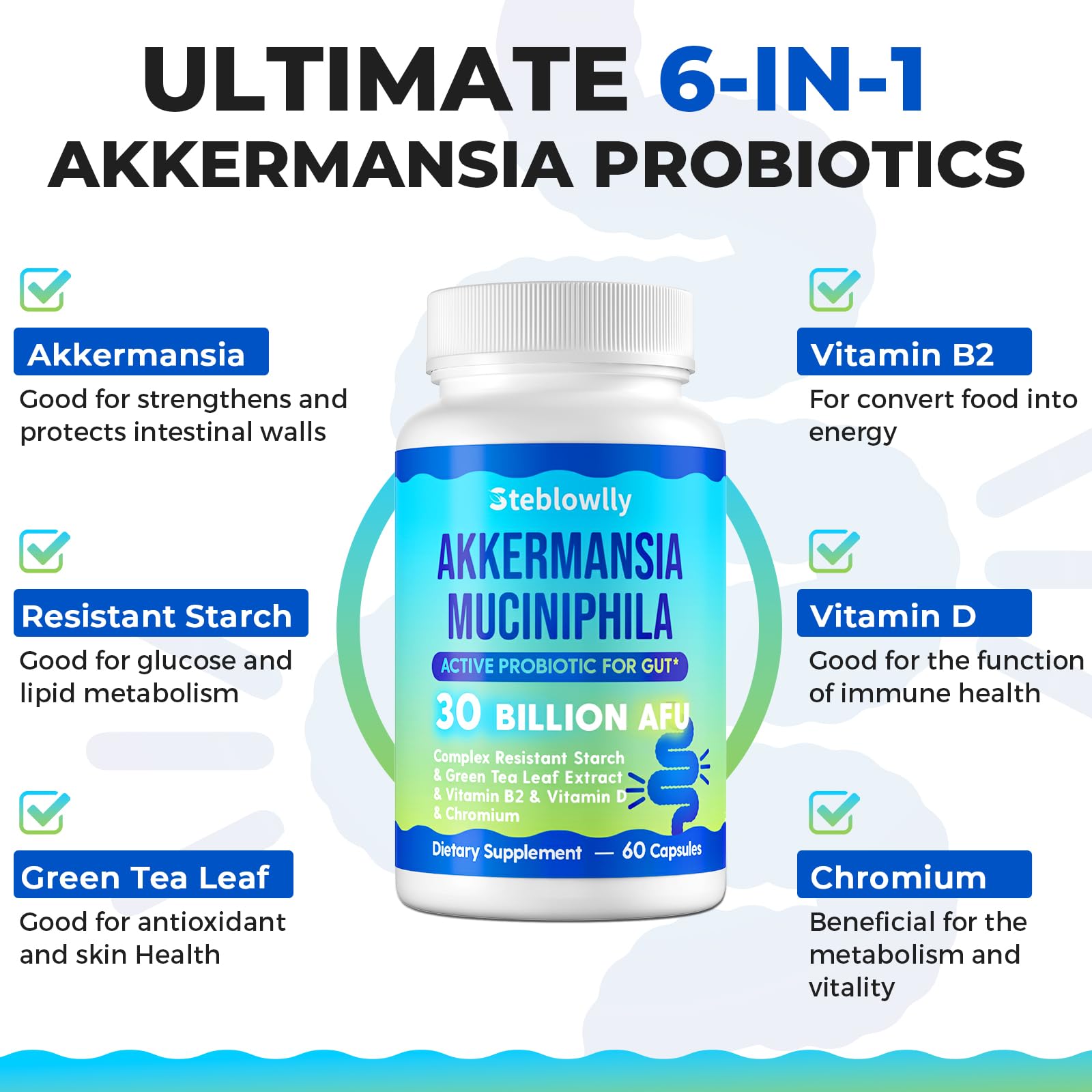 Steblowlly Akkermansia Probiotico con extracto de té verde para apoyo metabólico suave.
