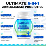 Steblowlly Akkermansia Probiotico con extracto de té verde para apoyo metabólico suave.