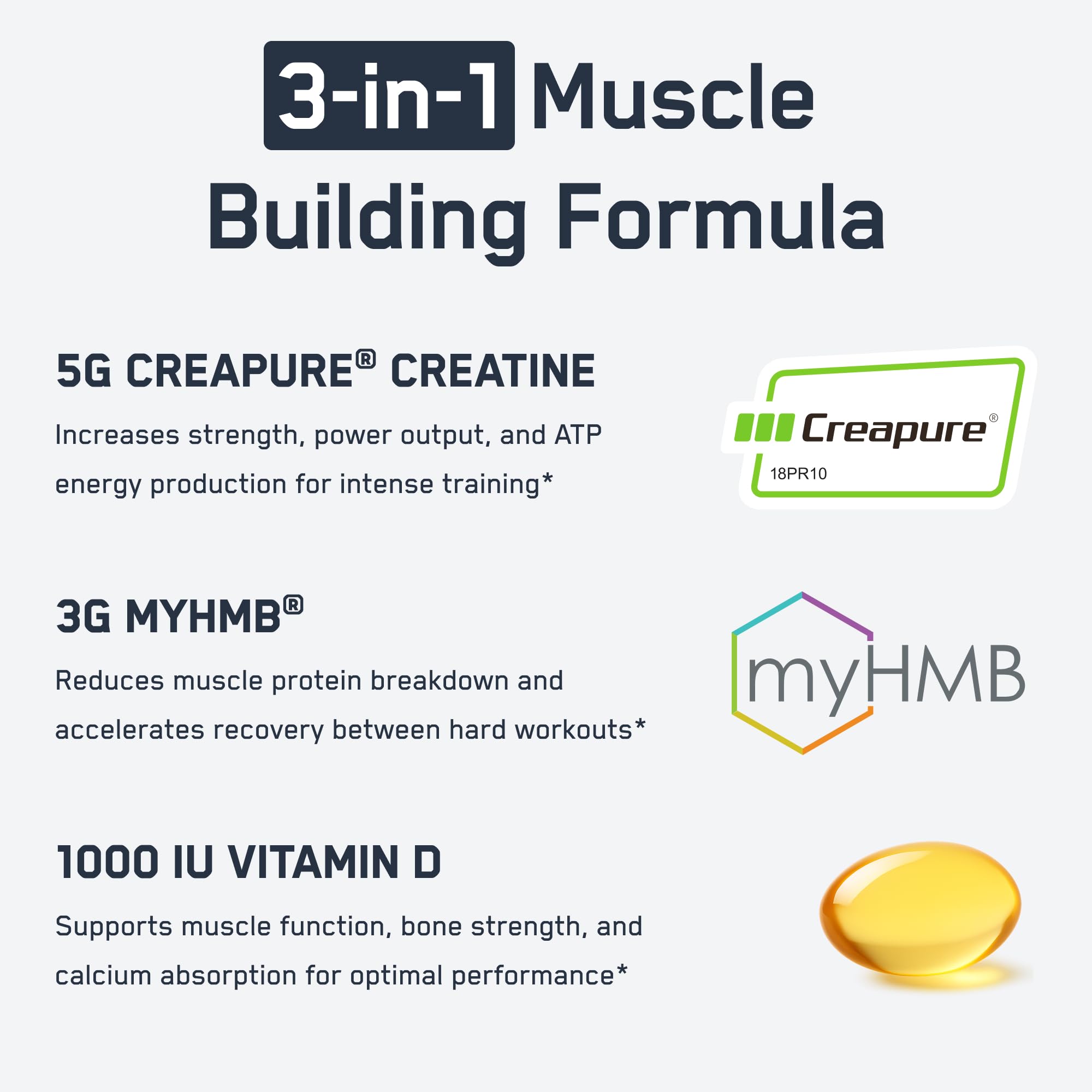 Etiqueta de SteelFit Creatine HMB con ingredientes clave visibles.