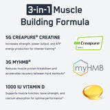 Etiqueta de SteelFit Creatine HMB con ingredientes clave visibles.