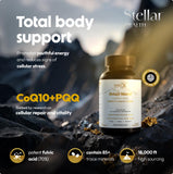 Stellar Health Shilajit extracto en frasco: impulso natural para vitalidad diaria
