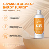 Stellar CoQ10 liposomado, bienestar diario sin gluten ni lactosa.