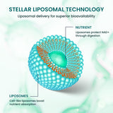 Stellar Liposomal Glutathione Liquid, antioxidante potente, protege las células con cada toma.
