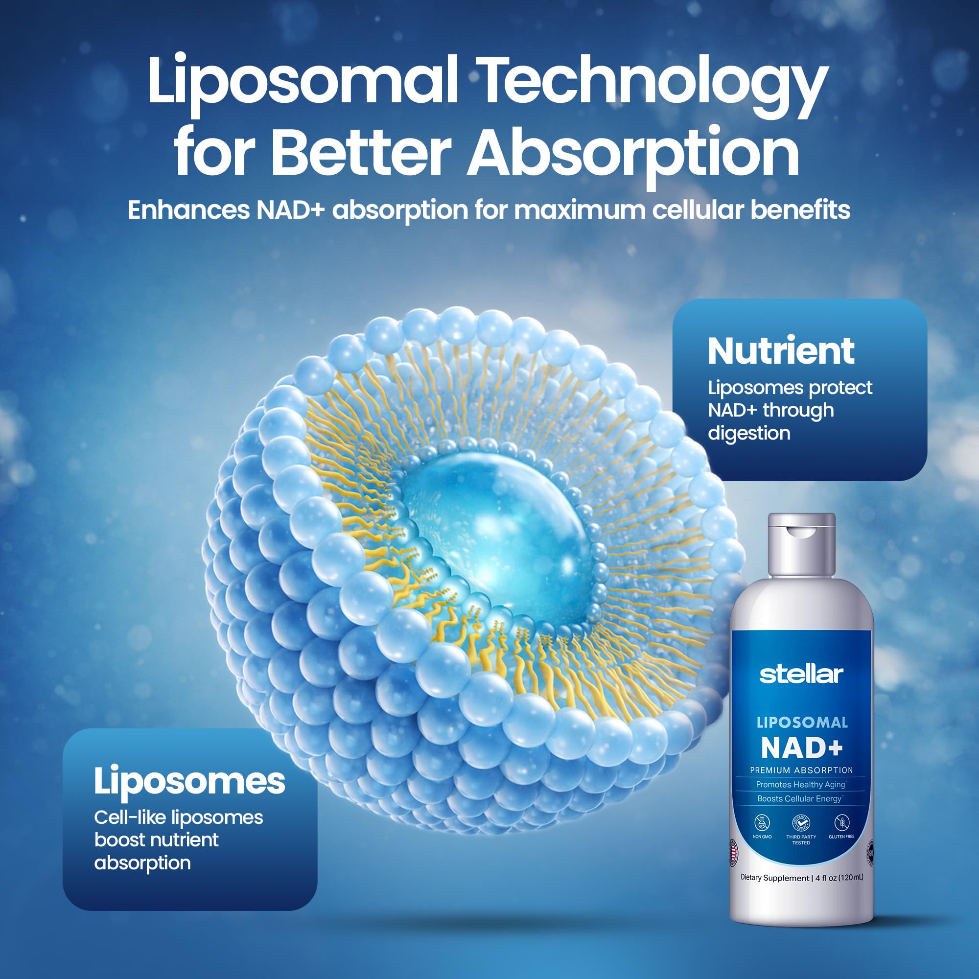 Stellar Liposomal NAD+ gotas, entrega rápida para la rutina diaria.
