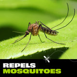 Extractos botánicos de STEM Repels para protección natural
