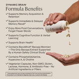 Stonehenge Dynamic Brain: etiqueta nutricional con ingredientes y beneficios clave.