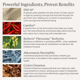 Stonehenge Health GLP-1 dinámico, etiqueta frontal con ingredientes clave.