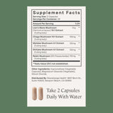 Stonehenge Health Hongos Dinámicos extracto Melena de León para concentración