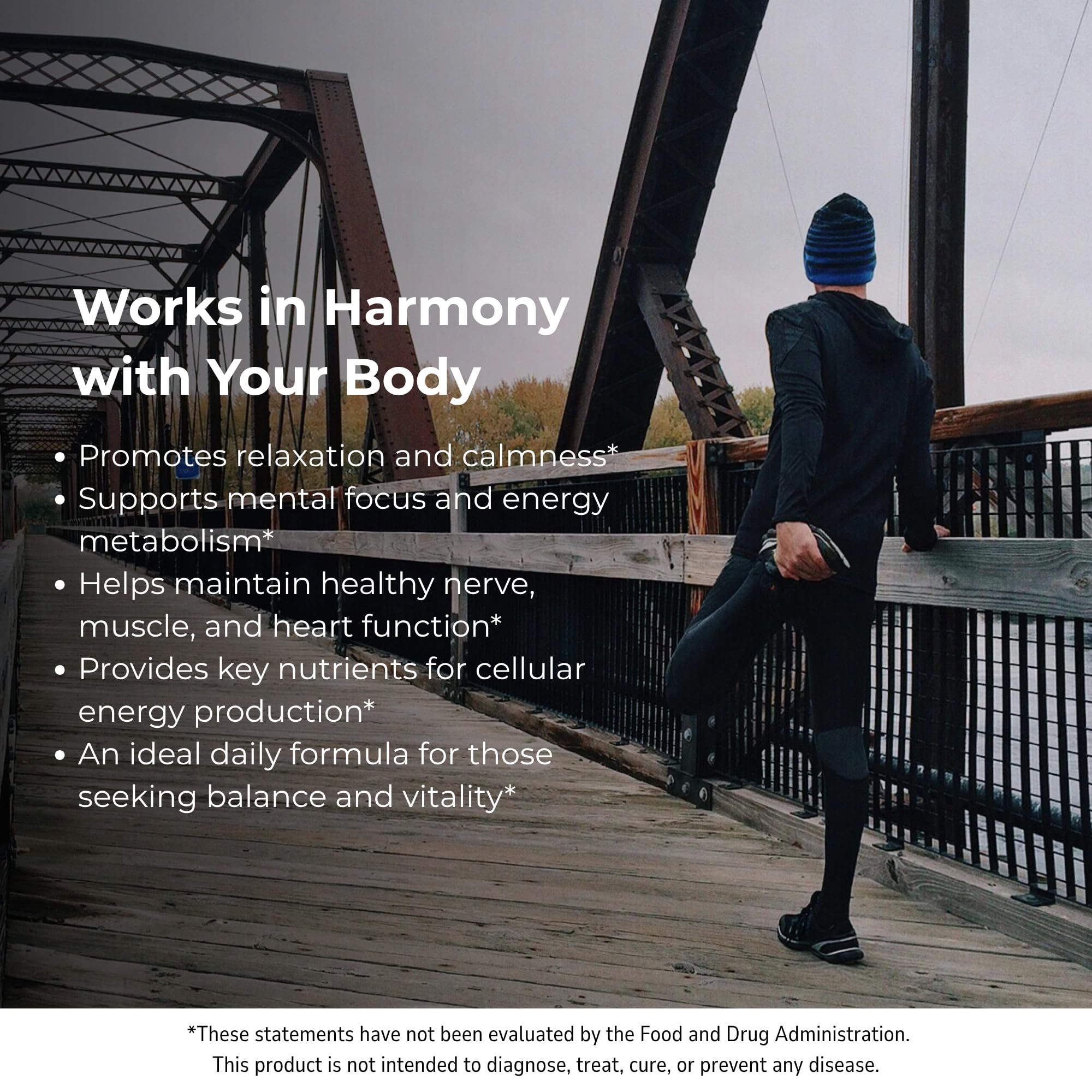 Myo-Inositol, Colina y Zinc Picolinato en STORM VITALS para cofactores nutritivos