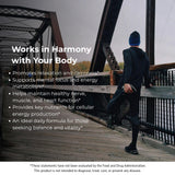 Myo-Inositol, Colina y Zinc Picolinato en STORM VITALS para cofactores nutritivos