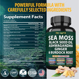 Componentes clave de StrongVit: musgo marino, aceite negro y jengibre
