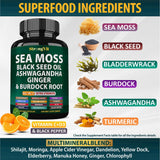 StrongVit ingredientes clave: ashwagandha, jengibre y cúrcuma para energía suave.