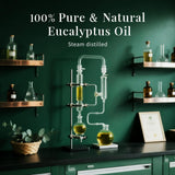 SU JUABA aceite esencial eucalipto, masaje muscular para aliviar tensiones.