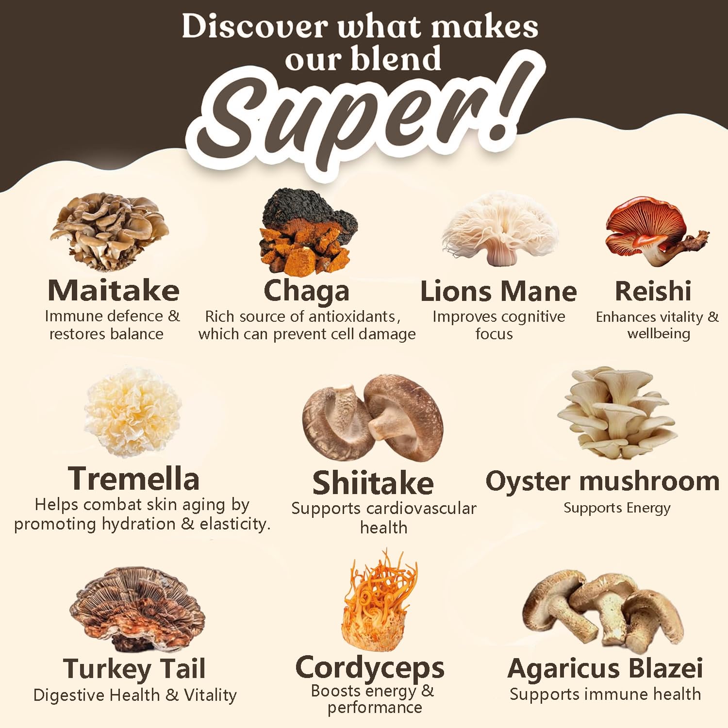 Suiyilary café de hongos con reishi, energía sostenida sin nervios