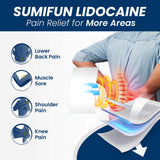 Sumifun XL Patch con liberación rápida de microesferas para dolor.