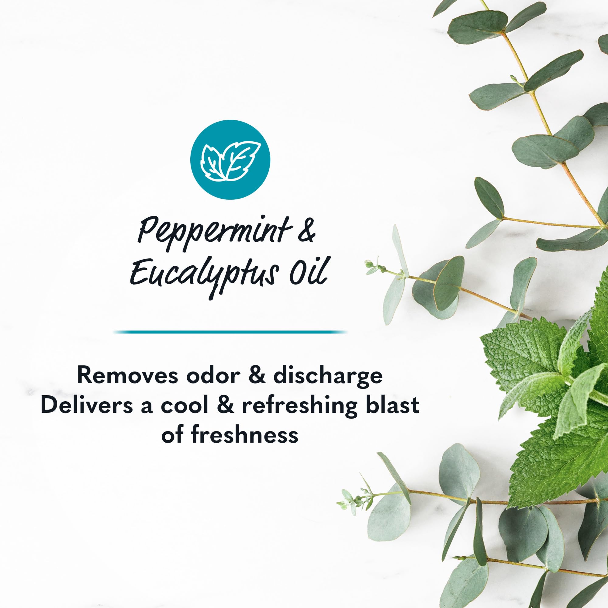 Summer’s Eve Perimenopause Wash: uso diario en la ducha para sensación fresca