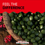Sun Chlorella frasco de 300 tabletas para suministro prolongado