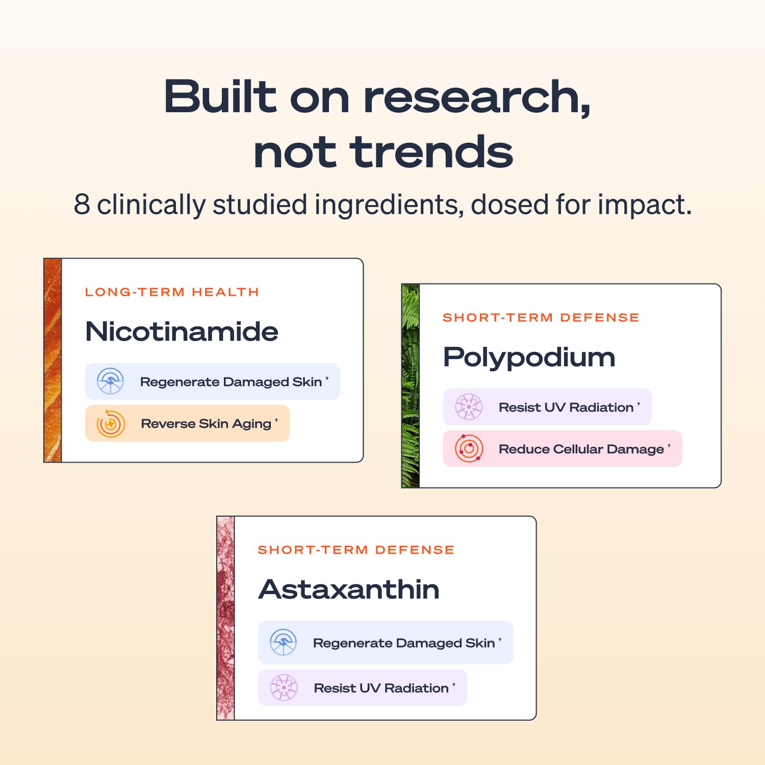 Sun Powder ingredientes-colageno: ayuda a mantener la estructura de la piel.