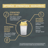 Sunwarrior L-Glutamina cucharada para apoyar síntesis de proteínas