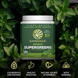 Sunwarrior Greens: hojas de moringa destacadas para aporte vegetal natural.
