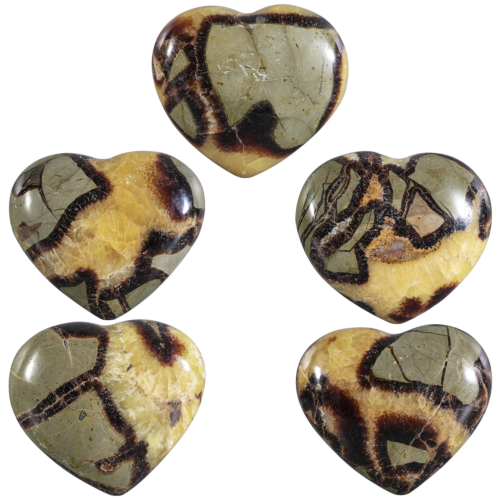 SUNYIK regalo-corazon-septarium-dragon para ocasiones especiales y afecto