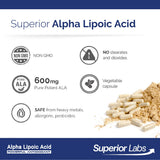 Uso diario de cápsulas Superior Labs Alpha Lipoic Acid para nervios y metabolismo