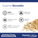 BioPerine mejora la absorción de nutrientes en la fórmula Boswellia.