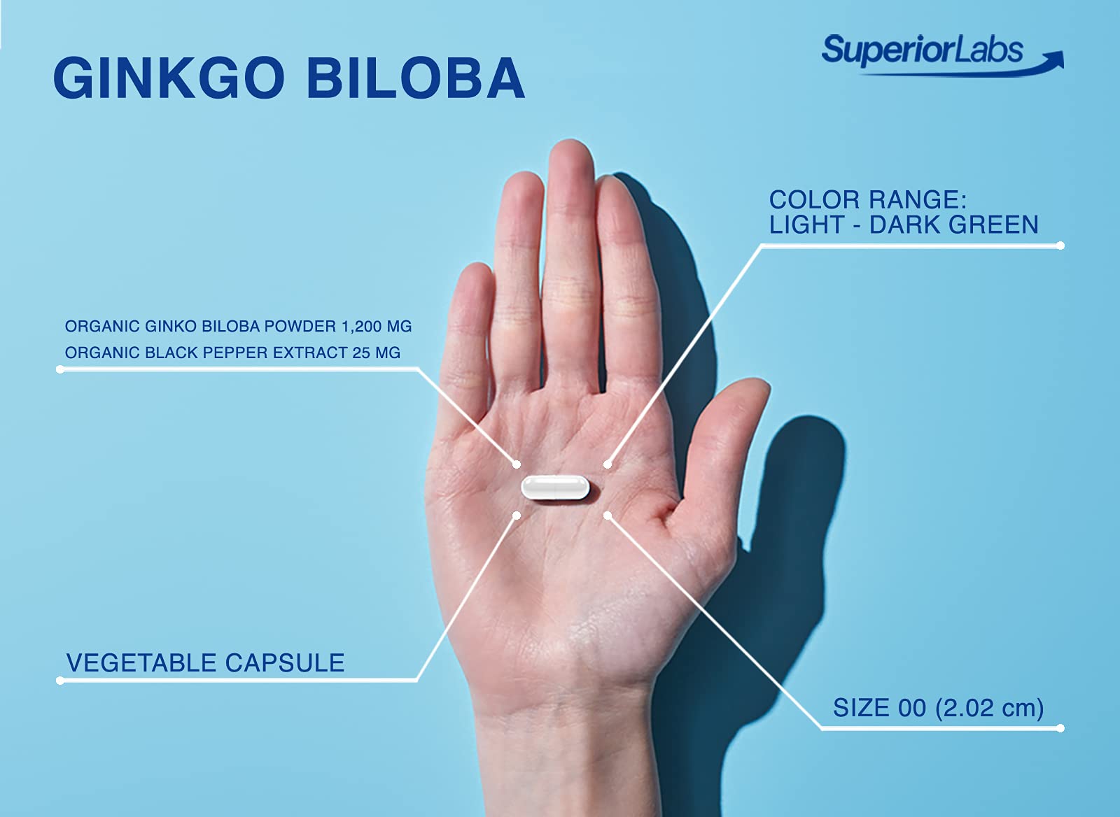 Superior Labs Ginkgo Biloba 1200 mg, etiqueta del producto, diseño claro y datos clave.