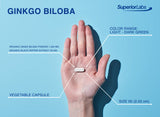 Superior Labs Ginkgo Biloba 1200 mg, etiqueta del producto, diseño claro y datos clave.