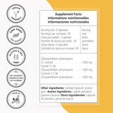 Supersmart Chrysantellum Americanum planta de Chrysantellum para referencia herbal