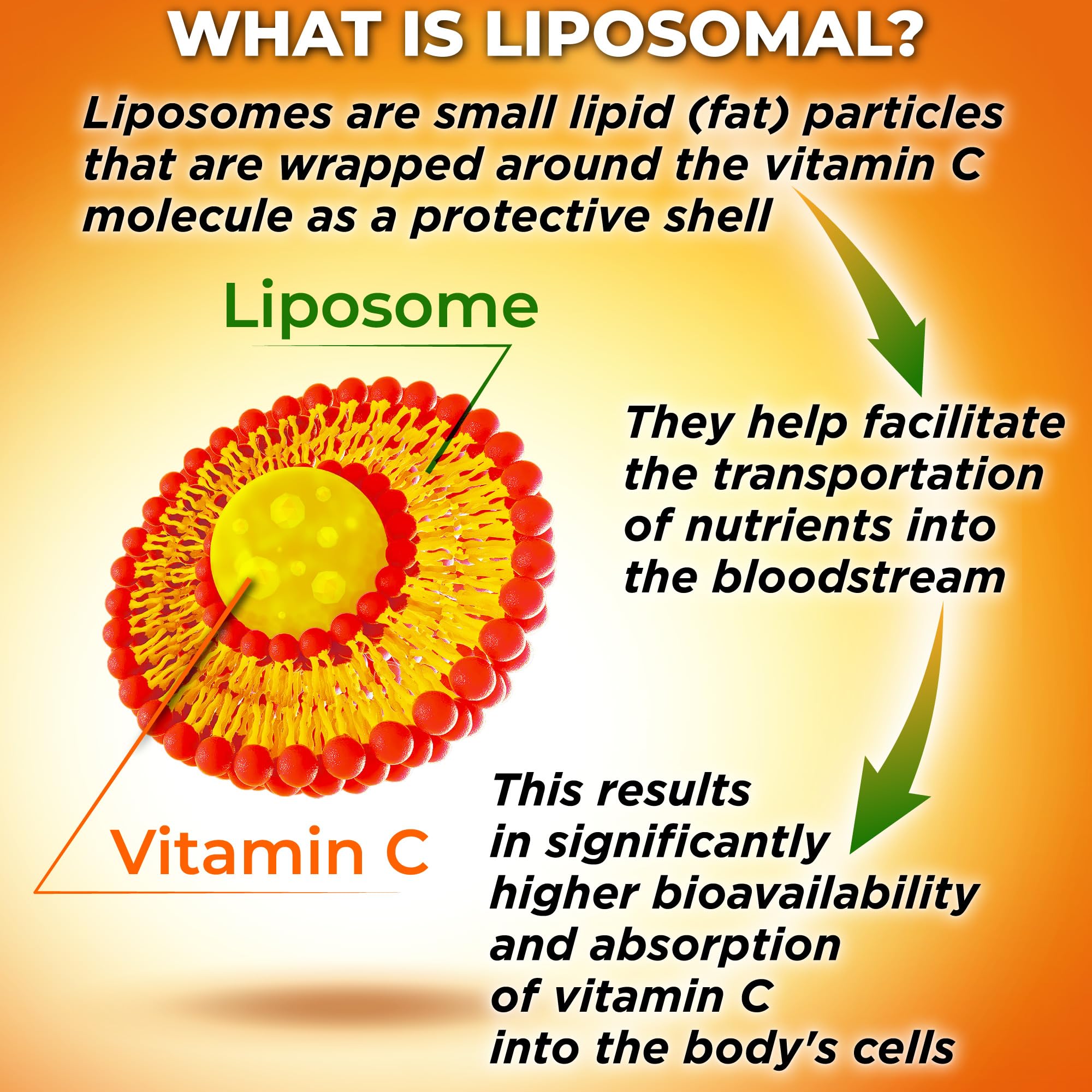 SUPPLEMENTS STUDIO Liposomal Vitamina C, cápsulas veganas para confort estomacal