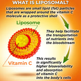 SUPPLEMENTS STUDIO Liposomal Vitamina C, cápsulas veganas para confort estomacal