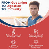 Dos cápsulas diarias de Surebounty Probiotics mostradas juntas para la rutina.