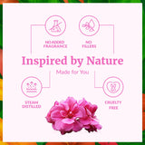 SVA Geranio Aceite Esencial: proceso de destilación al vapor para pureza aromática.
