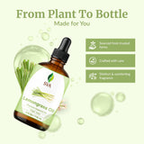 SVA Organics cabello: masaje con aceite diluido para cuero cabelludo.