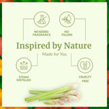 SVA Organics cuidado de piel: aplicación diluida para uso suave.