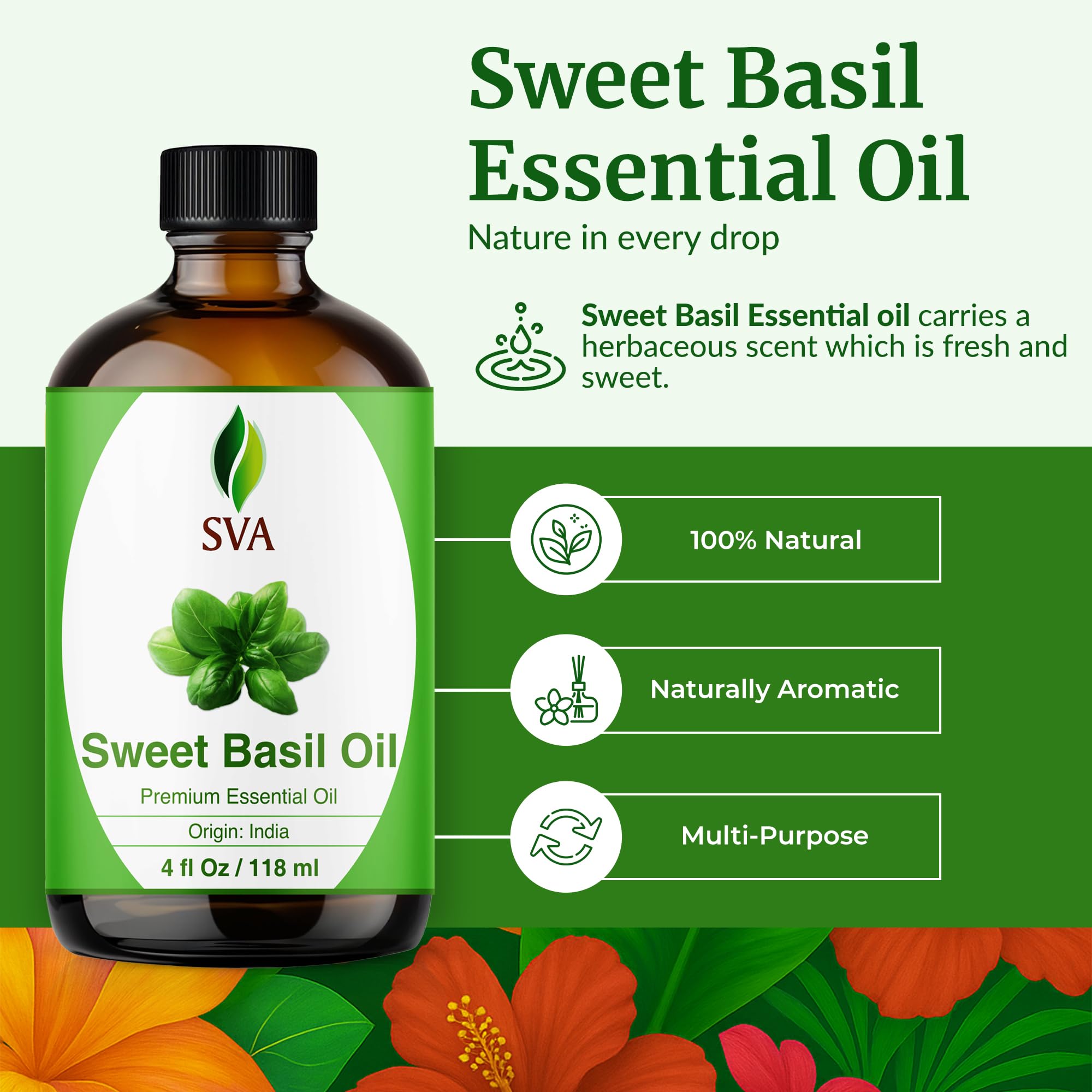 SVA ORGANICS Proceso de destilación al vapor para albahaca dulce de alta pureza