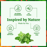 SVA ORGANICS Aceite de Orégano para piel, uso diluido seguro