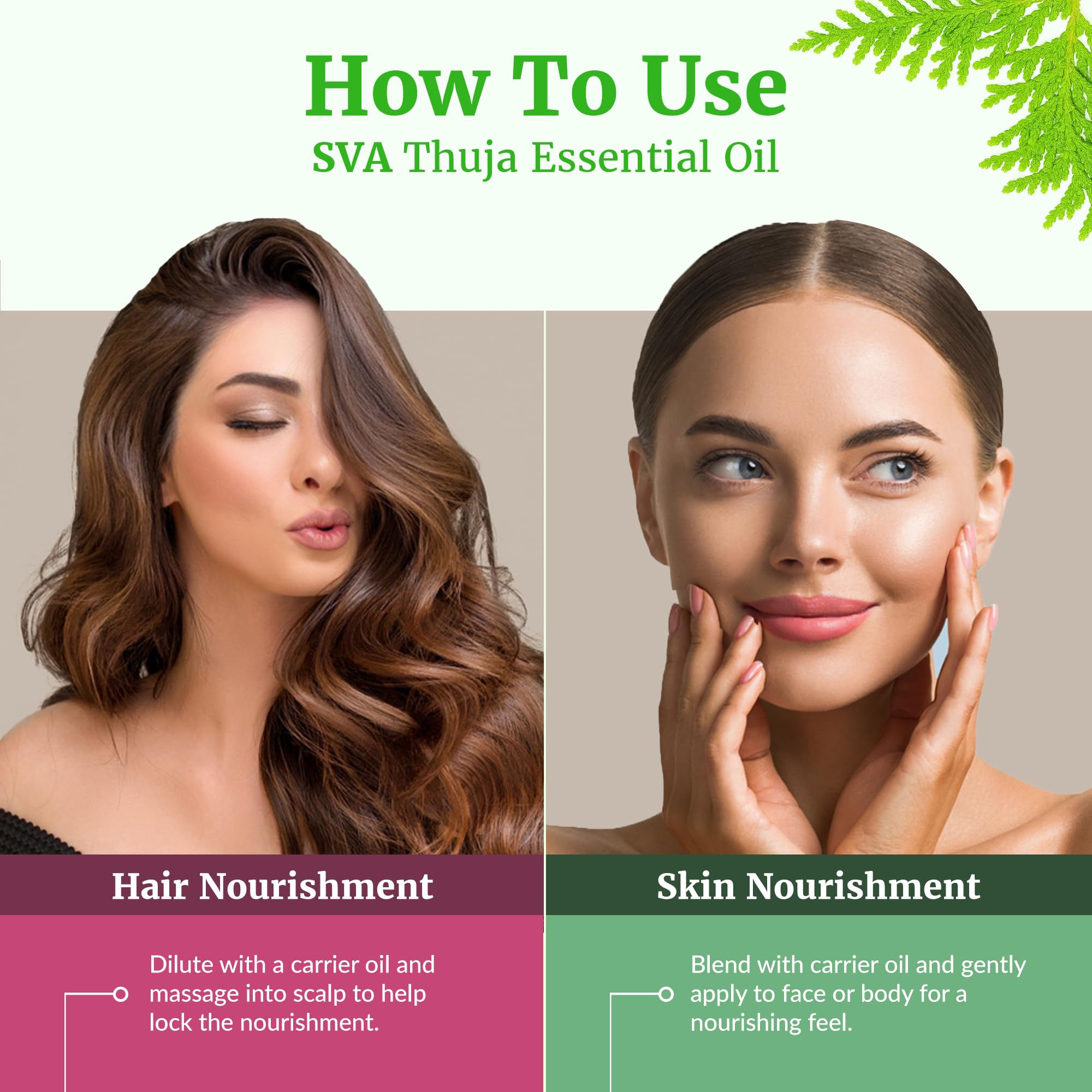 Aromaterapia con Thuja Oil de SVA para difusor.