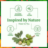 Aceite Tamanu SVA para cabello: masaje y nutrición del cuero cabelludo.